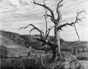 Chestnut Tree, Londonderry, Vermont