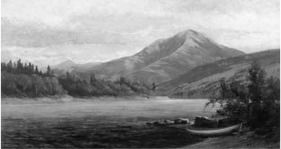 White Mountain View