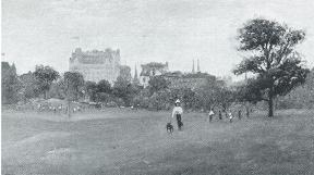 A Scene in the Park