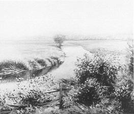 Stream Through the Salt Marshes