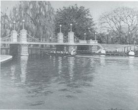 Swan Boats on the Pond