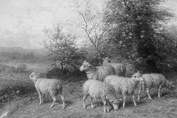 The Little Flock