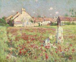Poppy Fields