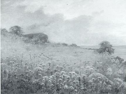 September/Field with Wild