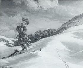 New Trails/Winter Landsca