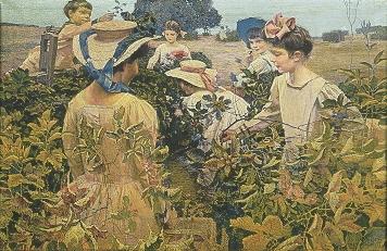 Picking Blackberries