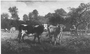 Curiousity/Pasture Scene