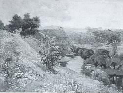 June Meadows
