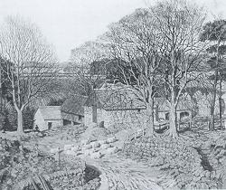 An Angus Farmstead