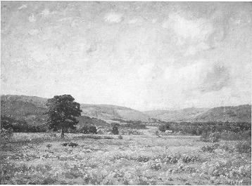 Summer Fields