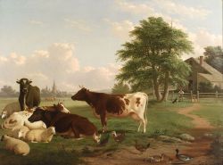 Cows at Pasture