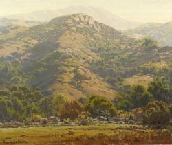 Hills in Spring