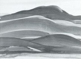 Near Tuscan, Patagonia by Eliot O'Hara - Auction record, sale price, and art valuation. Compare with similar artists and explore comparable artworks.