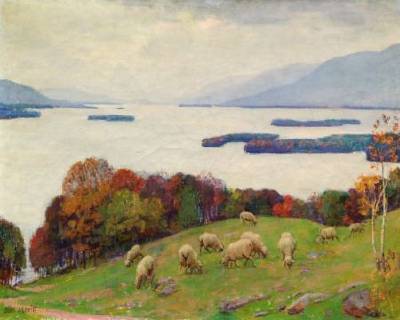 Sheep Grazing on a Coastal Hillside