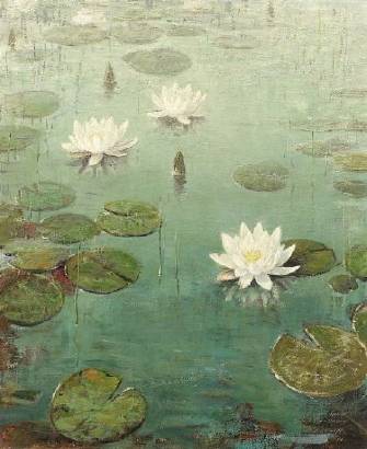 Water Lilies