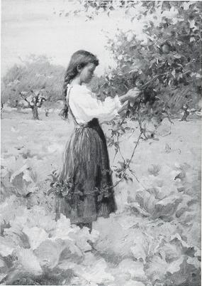 In the Orchard/Portrait