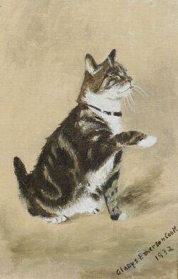 The Tabby