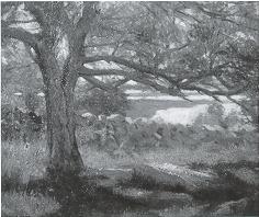 The River Beyond the Shade Tree by May Austin Claus - Auction record, sale price, and art valuation. Compare with similar artists and explore comparable artworks.