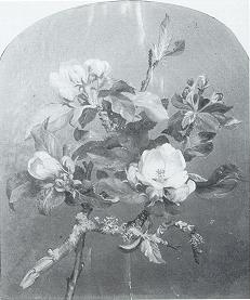 Still Life With Apple Blosso