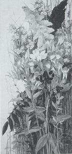 Wildflowers
