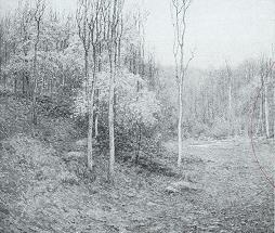 Late Autumn Landscape