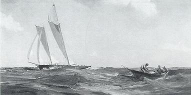 The Trawlers