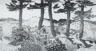Five Morning Pines