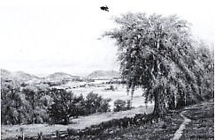 View from Dr L Moody's Northfield, MA by Gamaliel Waldo Beaman - Auction record, sale price, and art valuation. Compare with similar artists and explore comparable artworks.