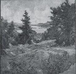 From an Old Pasture