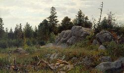 In the Adirondacks by Carl Philipp Weber - Auction record, sale price, and art valuation. Compare with similar artists and explore comparable artworks.