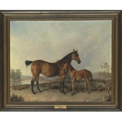 Flora Temple and Her Foal, Kitty Temple