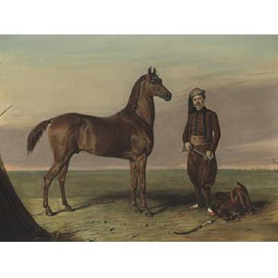 Edward Troye - artist photo for art wanted listing (Peapack, NJ)