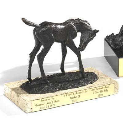 Foal