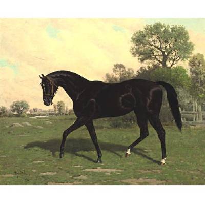 Mr Henry Young's Strathmore