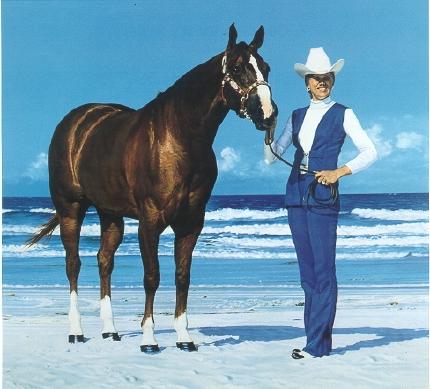 Dixie Coast