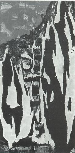 Donald Keith Sultan biographical photo