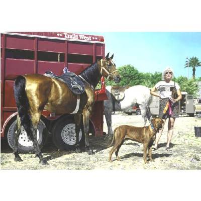 Western Tableau with Rhodesian Ridgeback (Trails West)