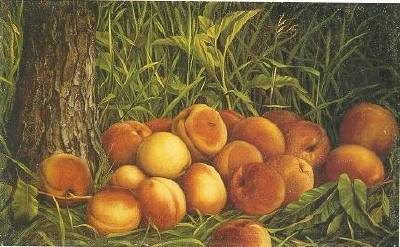 Peaches