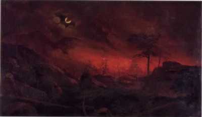 Forest Fire