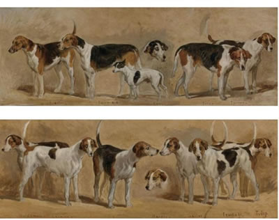 FAVORITE FOXHOUND: A PAIR