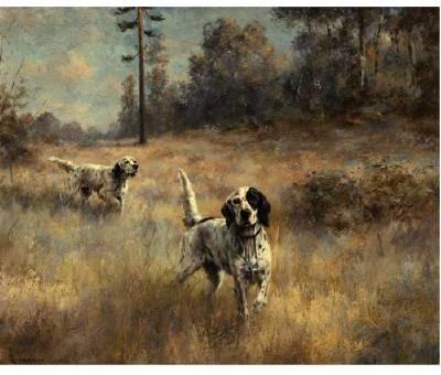 A Pair of English Setter in the Field