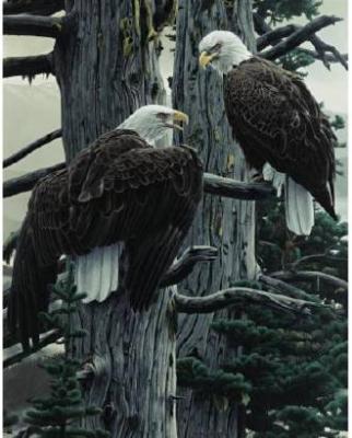 The Nesting Call