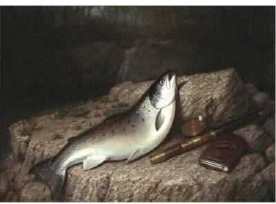 The Fisherman's Catch