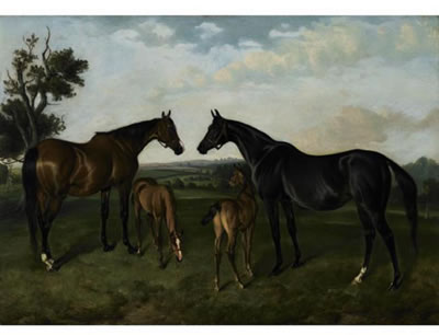 BROOD MARES