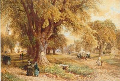 The Village Elms(Sunday Morning in New E