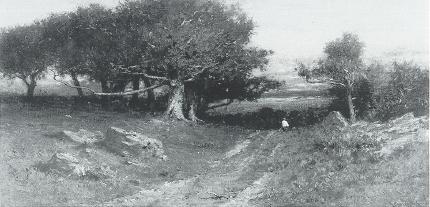 The Cove Road, Naushon Island