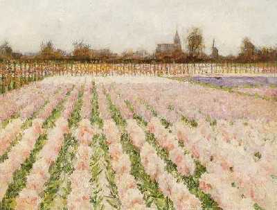 Field of Flowers