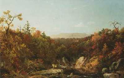 Deer By A Stream