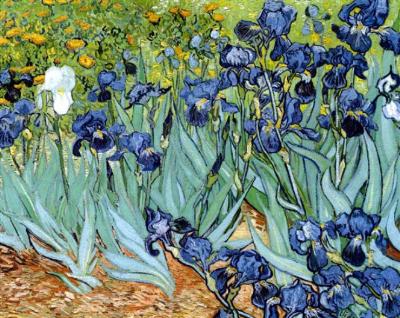Irises