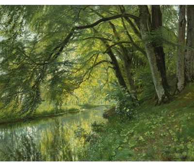 RIVER LANDSCAPE